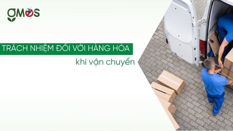 Trách nhiệm đối với hàng hoá tại GMOS
