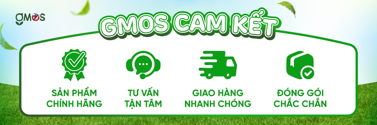 Cam kết khi mua sản phẩm từ Gmos