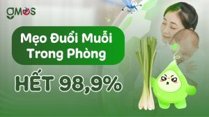 Mẹo đuổi muỗi trong phòng hiệu quả