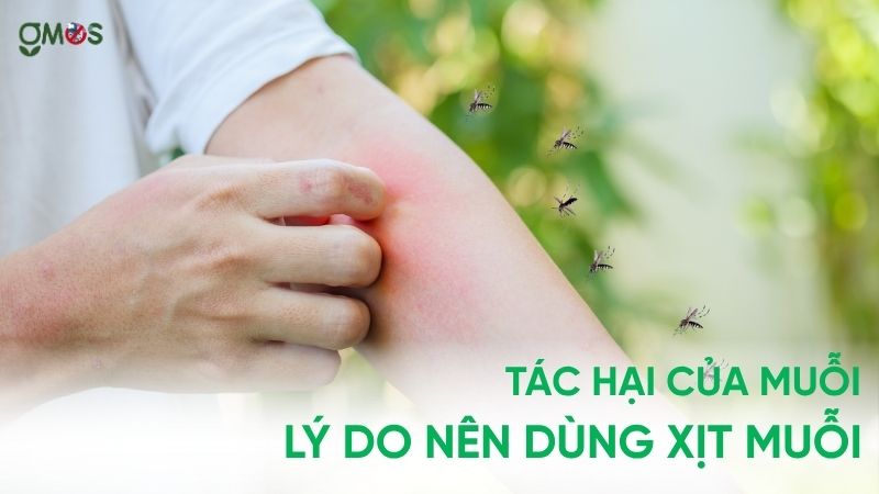 Tác hại của muỗi và lý do nên xử dụng xịt muỗi hằng ngày