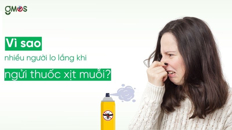 Thuốc xịt muỗi công nghiệp tiềm ẩn những nguy cơ gì cho sức khoẻ?