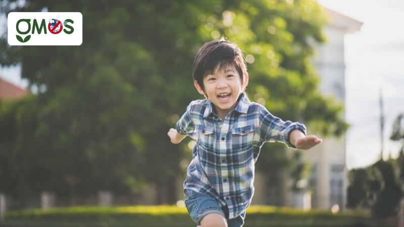 Cách giúp em tăng đề kháng phòng sốt xuất huyết ở trẻ em