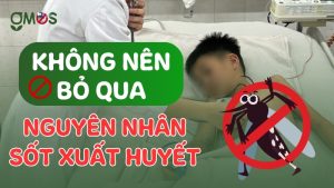 Nguyên nhân gây bênh sốt xuất huyết