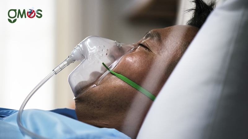 Tác hại nguy hiểm của bệnh sốt xuất huyết