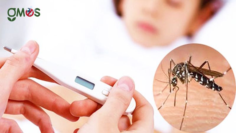 Triệu chứng và giấu hiệu nhận biết bị bệnh sốt xuất huyết