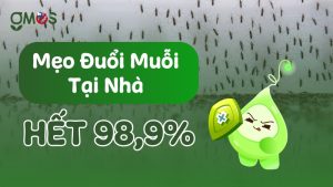 Cách xua đuổi muỗi hiệu quả tại nhà