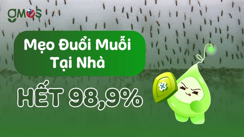 Cách xua đuổi muỗi hiệu quả tại nhà