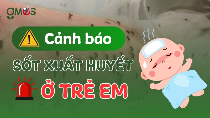 Sốt xuất huyết ở trẻ em có nguy hiểm không